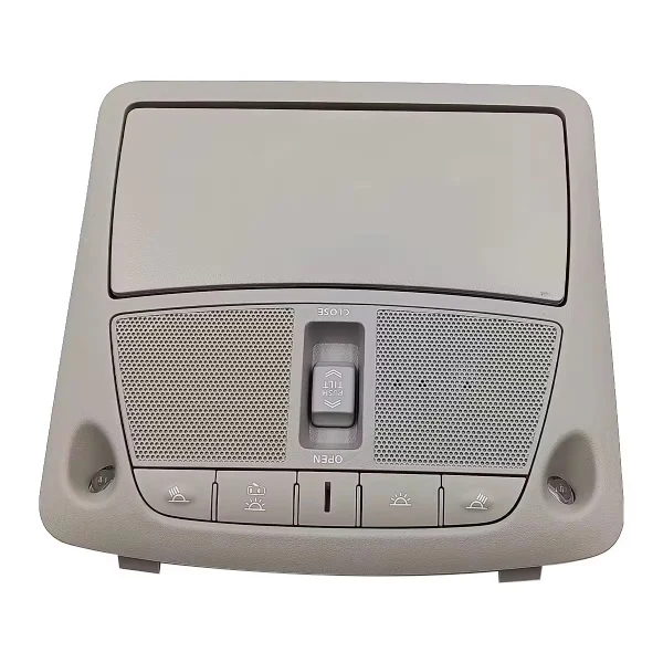 Roof lamp Nissan patrol y62 2010- 2024 beige